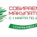 Сбор макулатуры